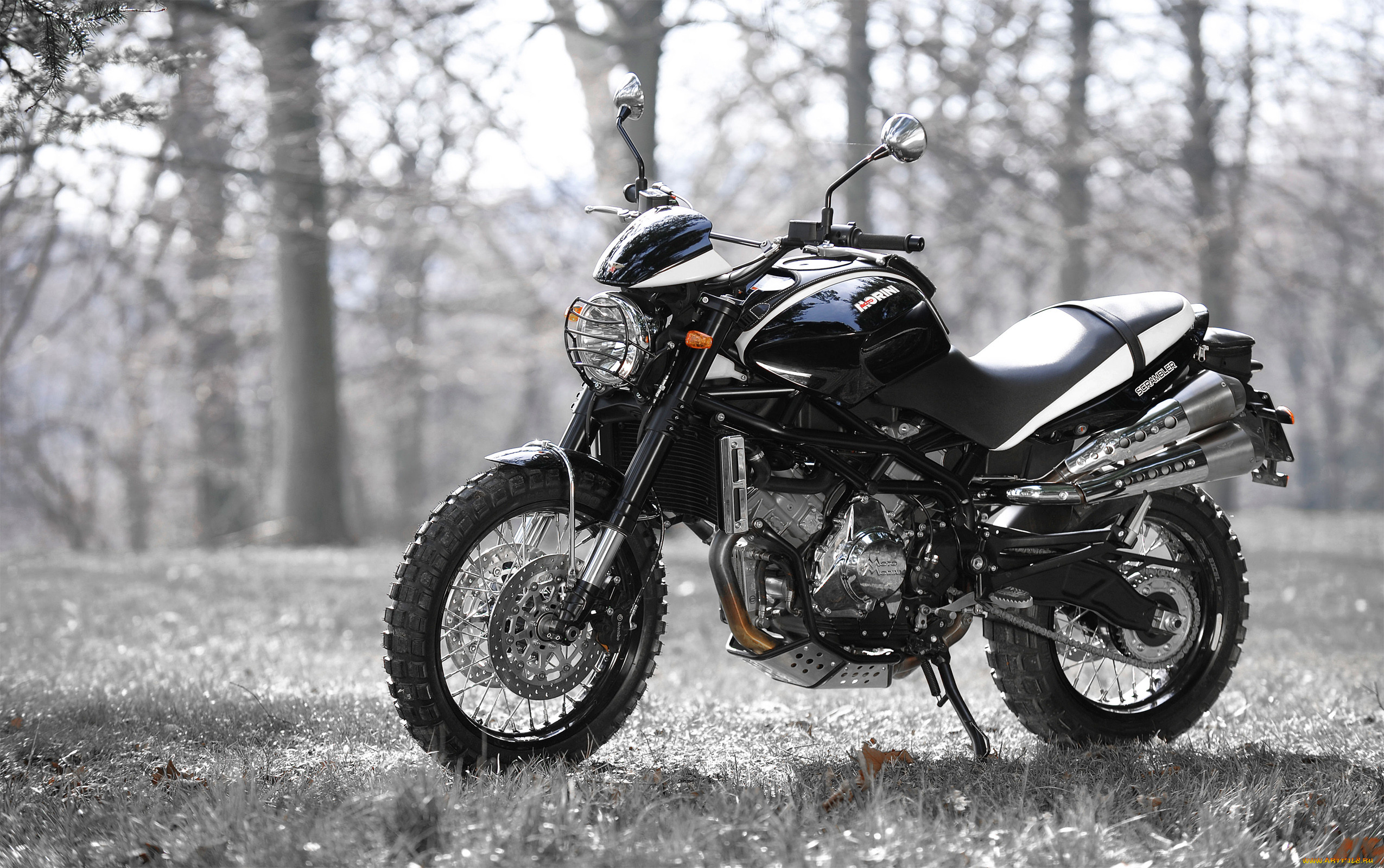 , -unsort, moto, morini